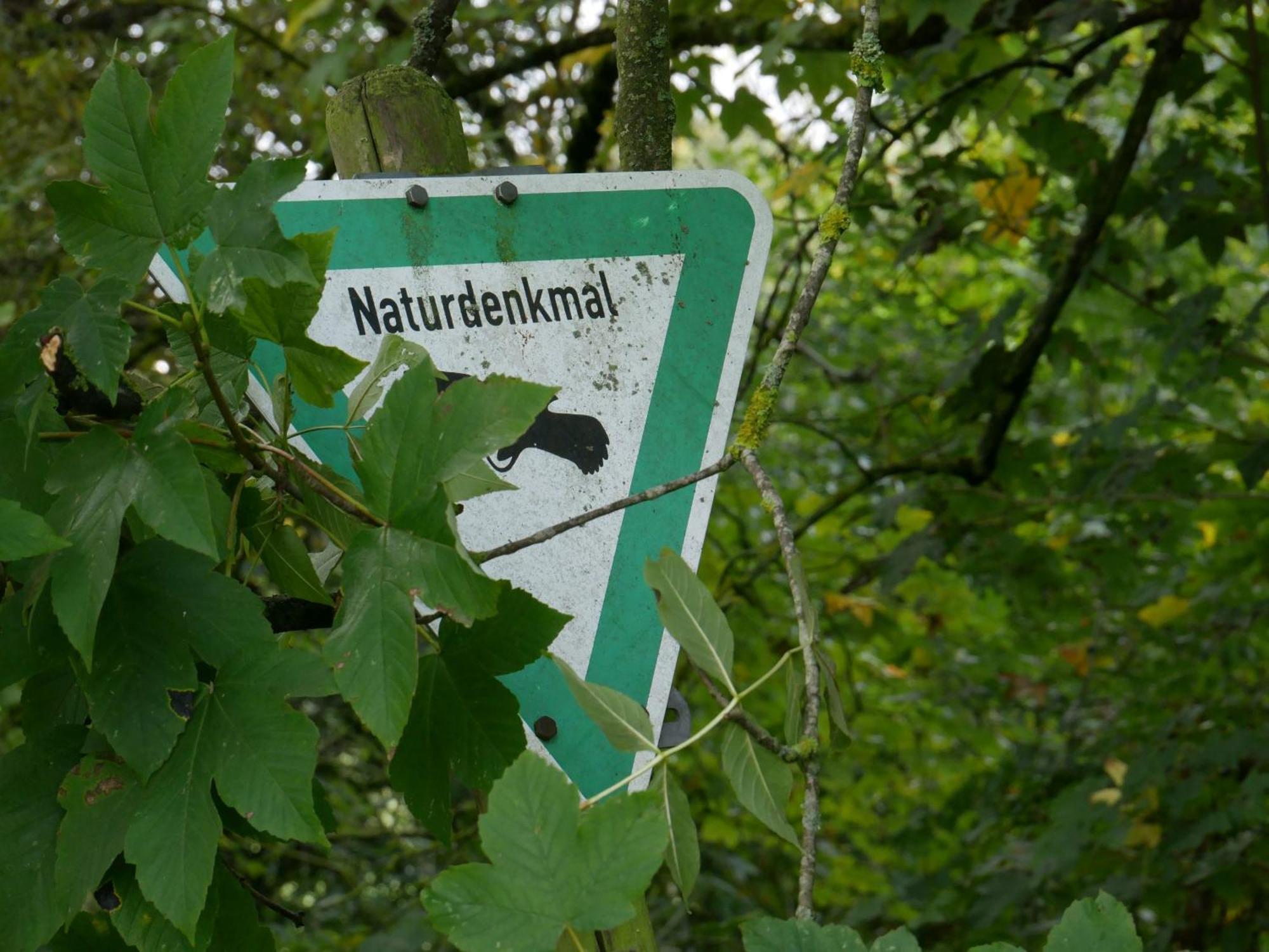 Ferienwohnungen Knodel Sachsenheim Buitenkant foto